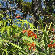 Picture 061.jpg